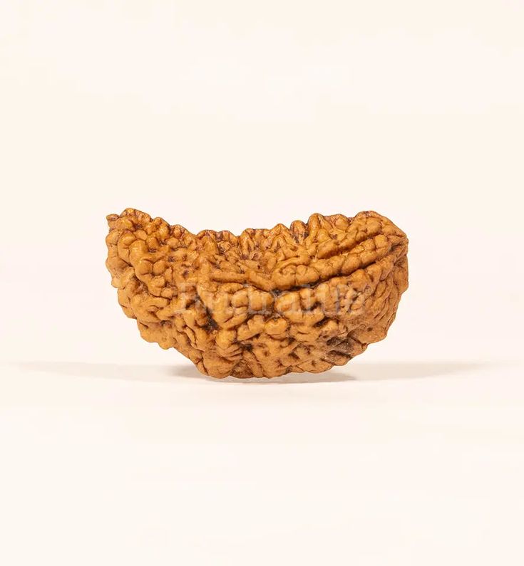 1 Mukhi Rudraksha