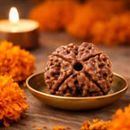 Natural 4 Mukhi Rudraksha