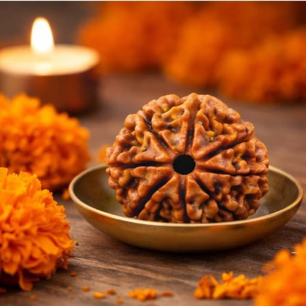 Natural 8 Mukhi Rudraksha