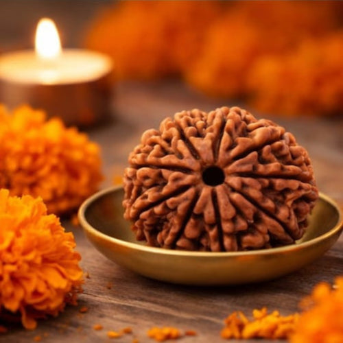 Natural 9 Mukhi Rudraksha