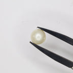 Natural Pearl (South Sea) 5.16ct