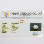 Natural Pearl (South Sea) 5.16ct