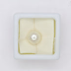Natural Pearl (South Sea) 5.56ct