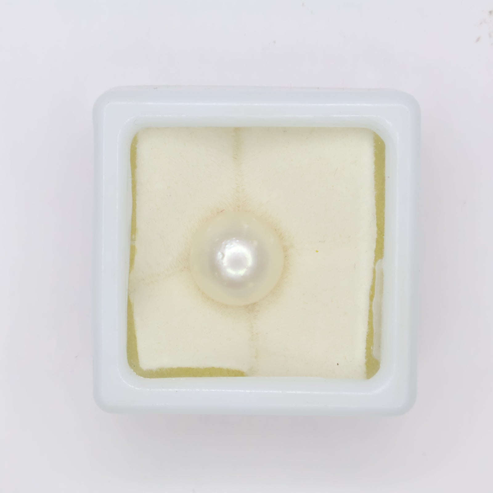 Natural Pearl (South Sea) 5.56ct