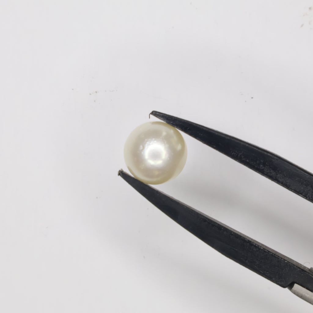 Natural Pearl (South Sea) 5.56ct