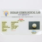 Natural Pearl (South Sea) 5.56ct