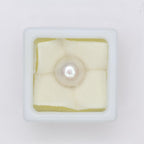 Natural Pearl (South Sea) 6.26ct