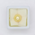 Natural Golden Pearl (South Sea) 6.43ct
