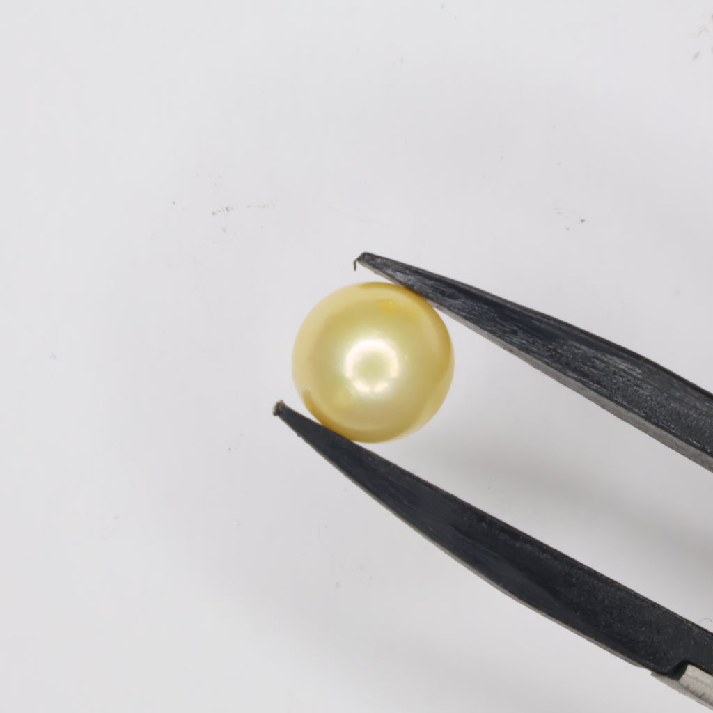 Natural Golden Pearl (South Sea) 6.43ct