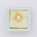 Natural Golden Pearl (South Sea) 7.02ct