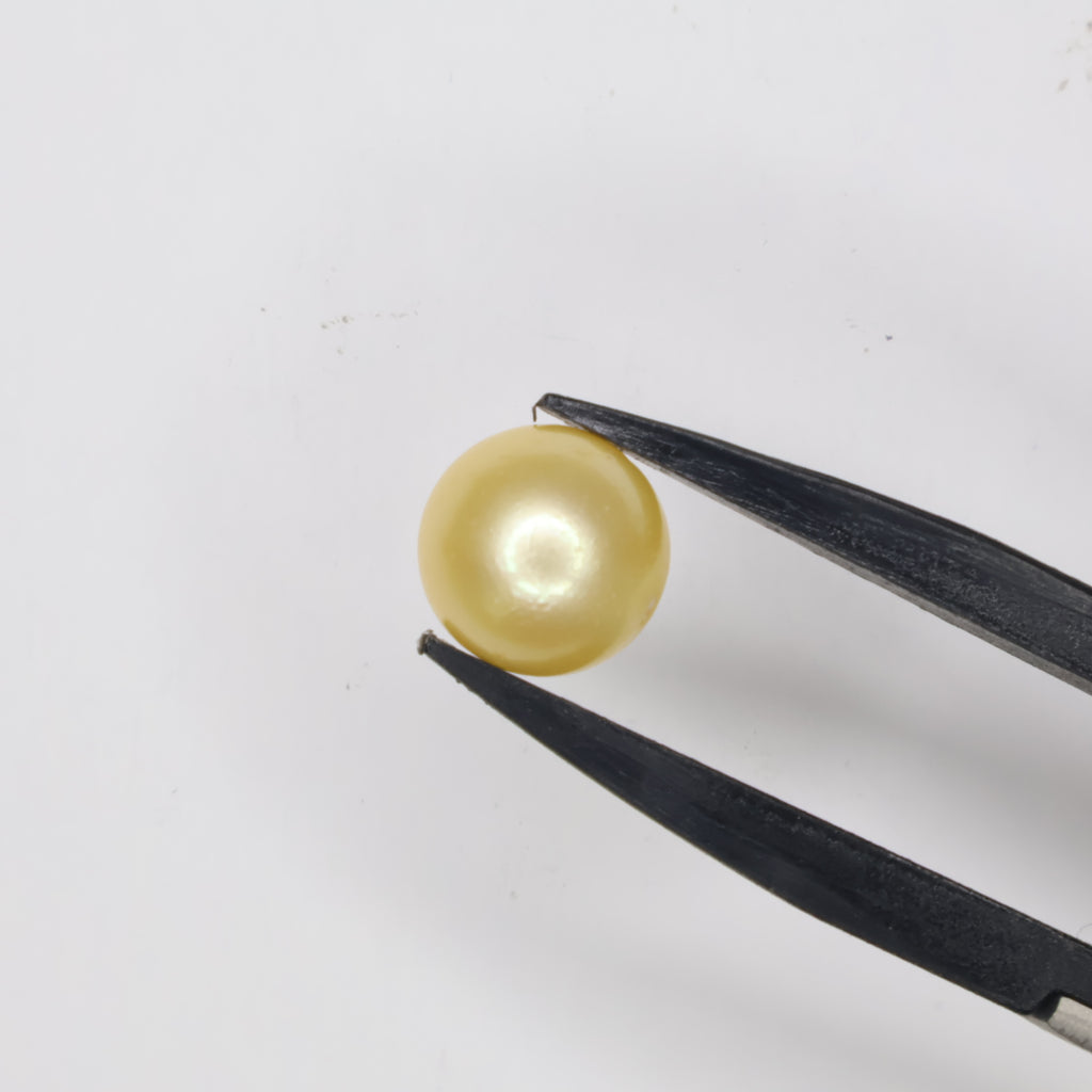 Natural Golden Pearl (South Sea) 7.02ct