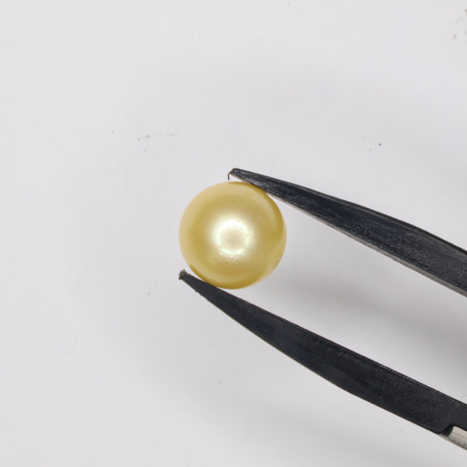 Natural Golden Pearl (South Sea) 7.02ct