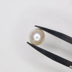 Natural Pearl (South Sea) 7.47ct