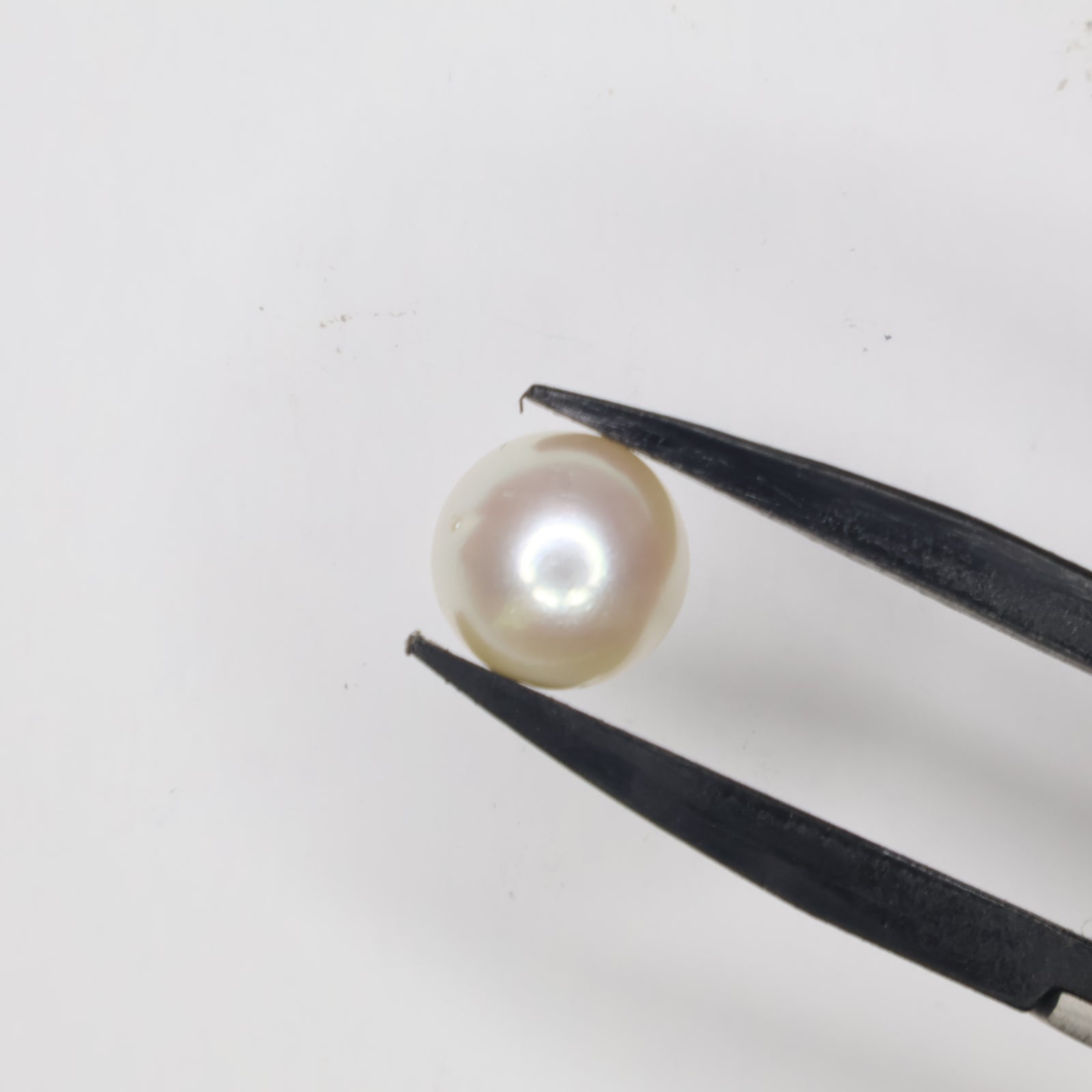 Natural Pearl (South Sea) 7.47ct