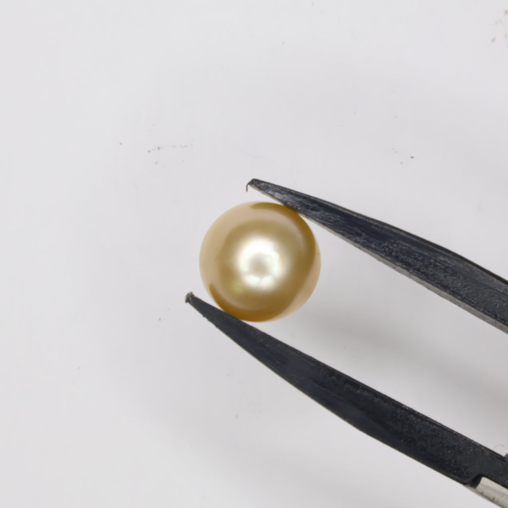 Natural Golden Pearl (South Sea) 7.53ct