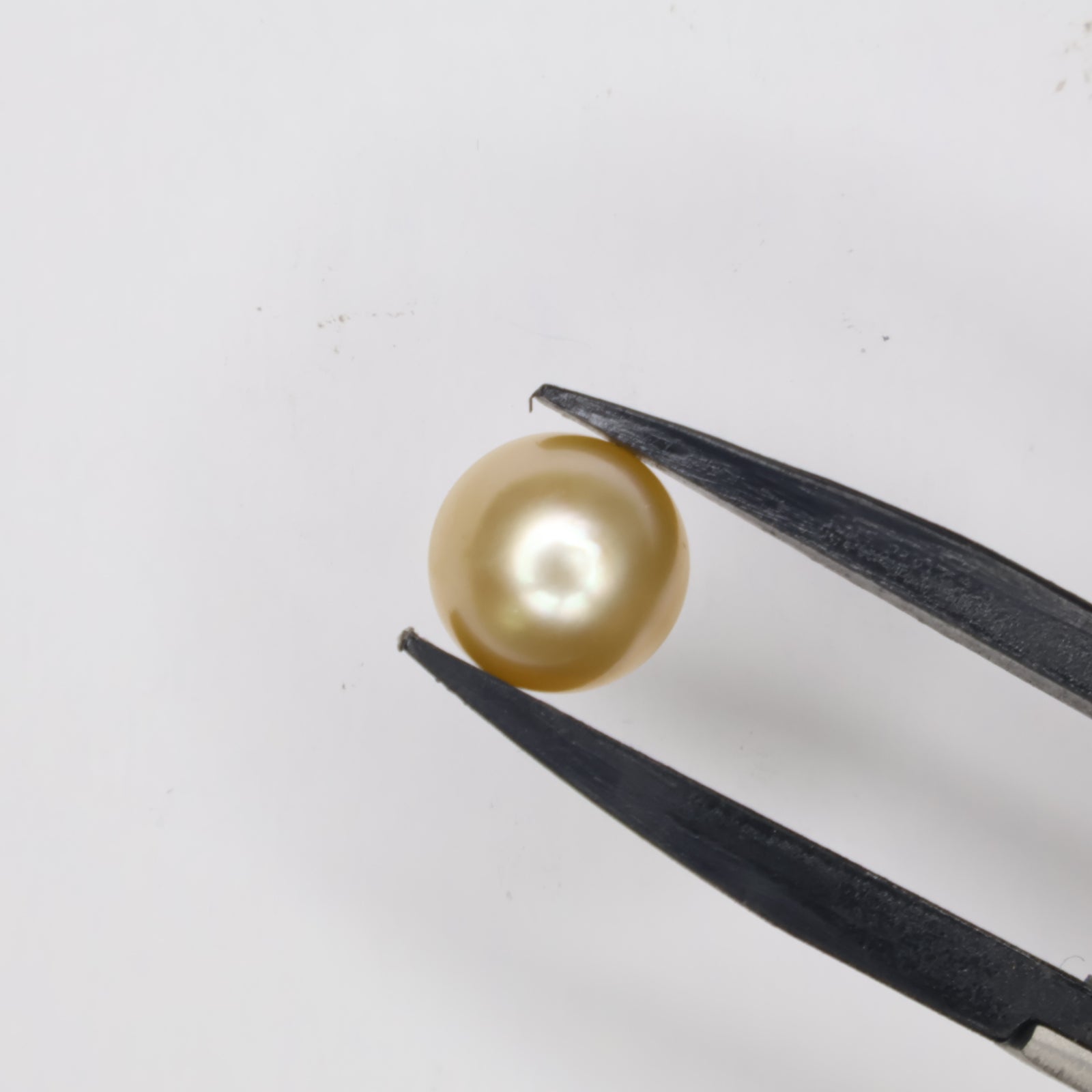Natural Golden Pearl (South Sea) 7.53ct