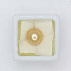 Natural Golden Pearl (South Sea) 8.00ct