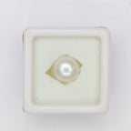 Natural Pearl (South Sea) 10.65ct