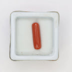 Natural Red Coral (Munga) 3.16ct