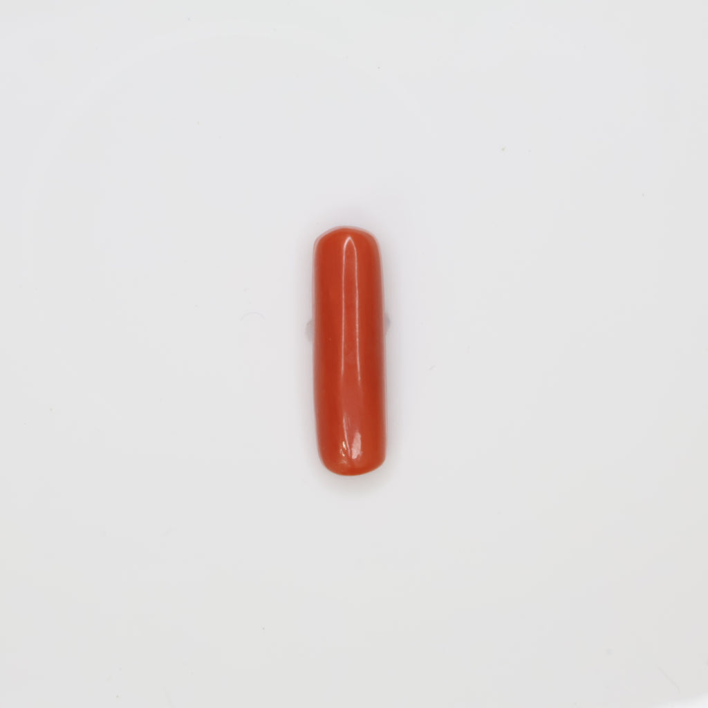 Natural Red Coral (Munga) 3.16ct