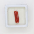 Natural Red Coral (Munga) 3.42ct