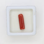 Natural Red Coral (Munga) 3.42ct