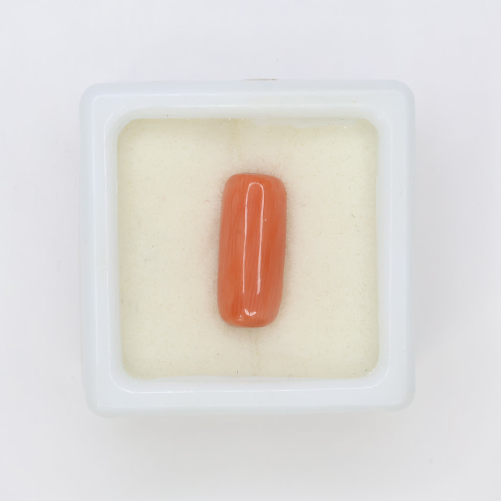 Natural Red Coral (Munga) 3.92ct
