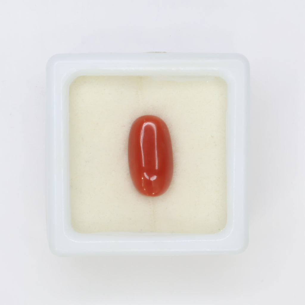 Natural Red Coral (Munga) 3.56ct