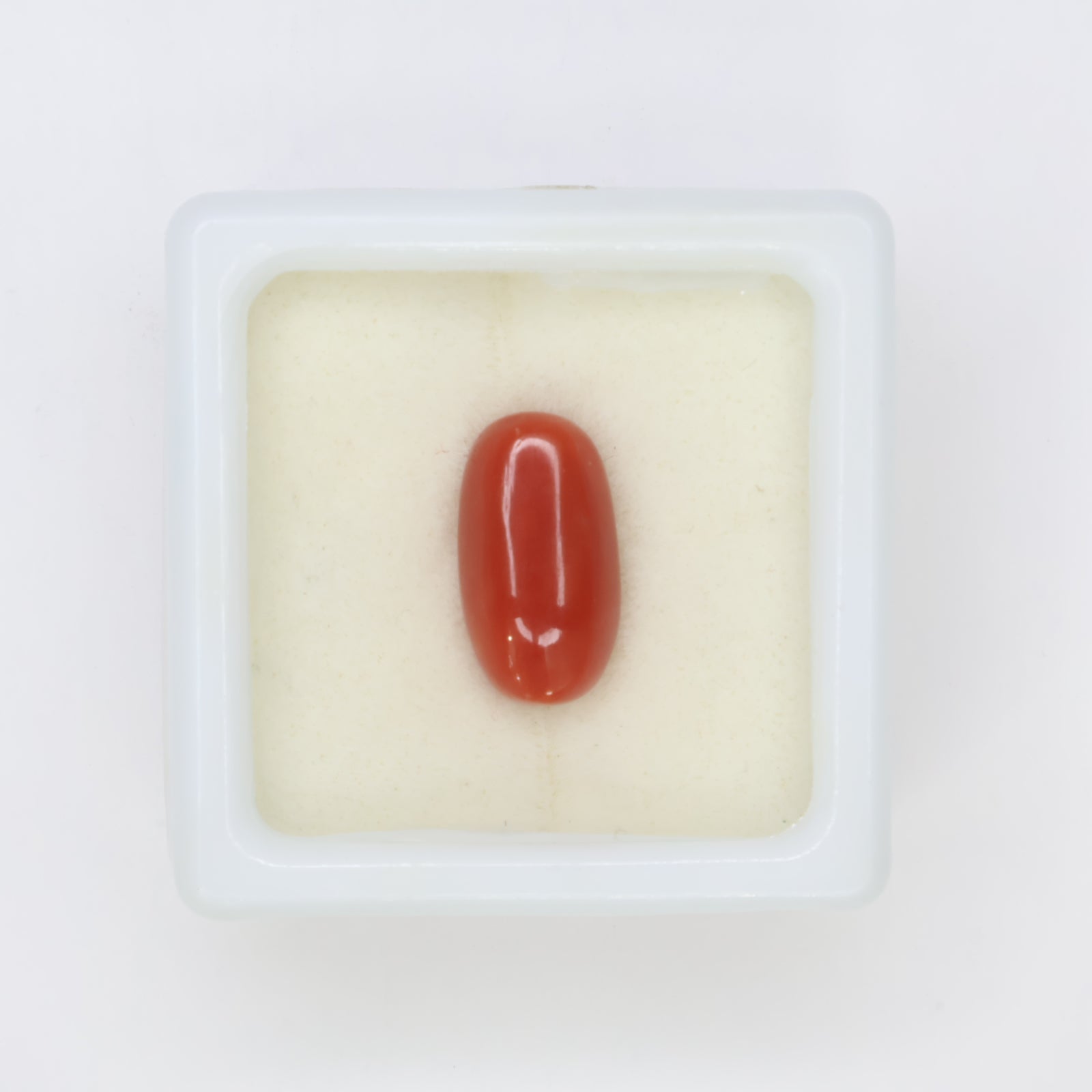 Natural Red Coral (Munga) 3.56ct