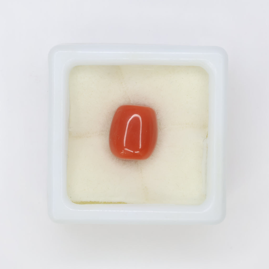 Natural Red Coral (Munga) 5.86ct