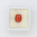 Natural Red Coral (Munga) 5.86ct