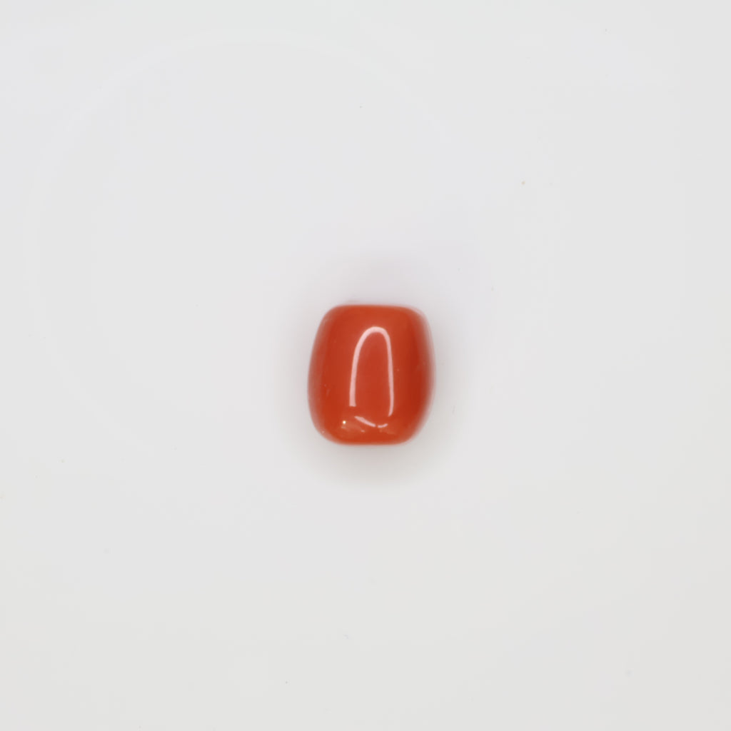 Natural Red Coral (Munga) 5.86ct