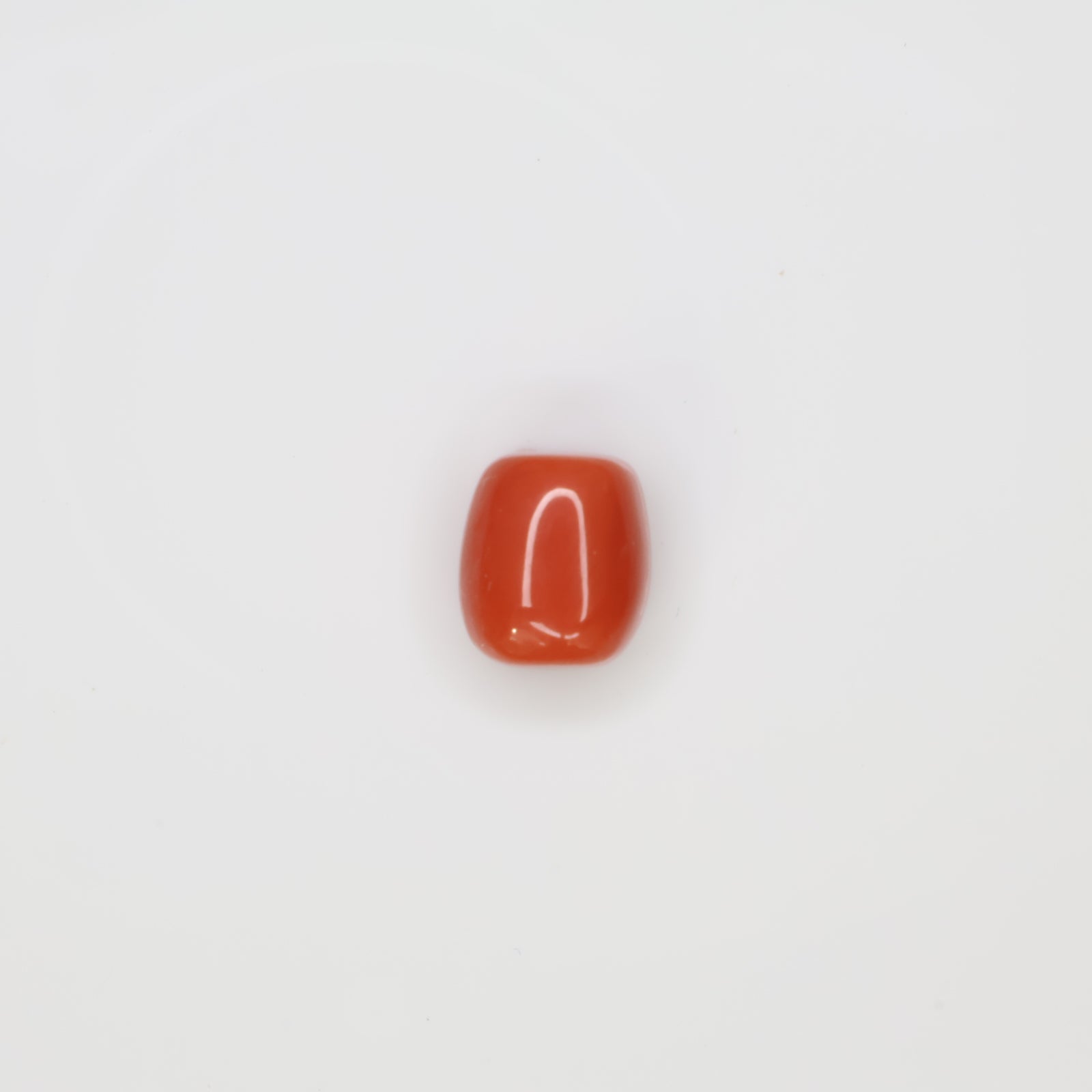 Natural Red Coral (Munga) 5.86ct