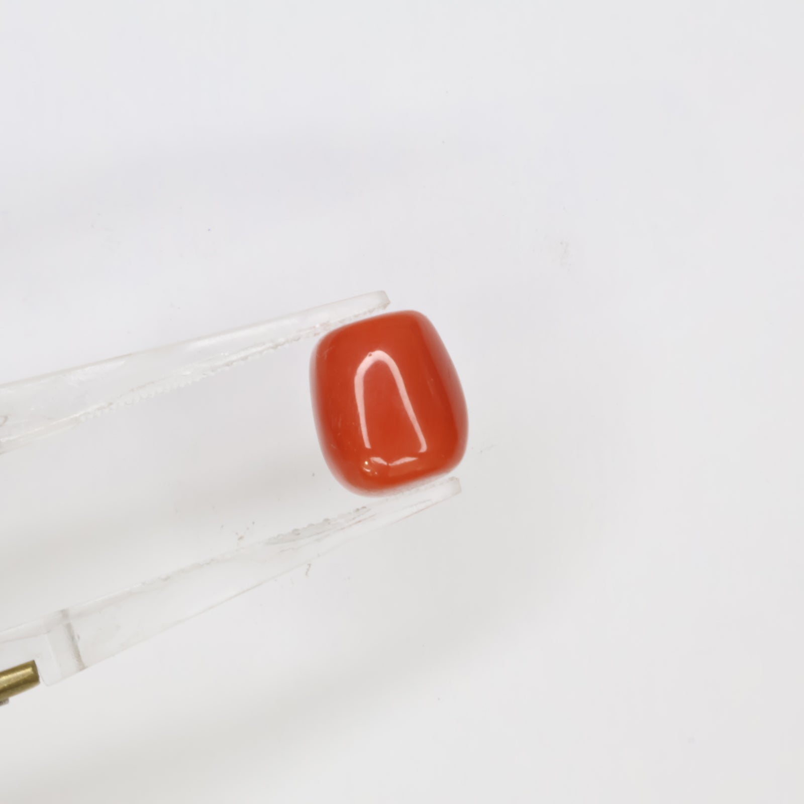 Natural Red Coral (Munga) 5.86ct