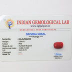 Natural Red Coral (Munga) 5.86ct