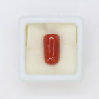 Natural Red Coral (Munga) 7.00ct