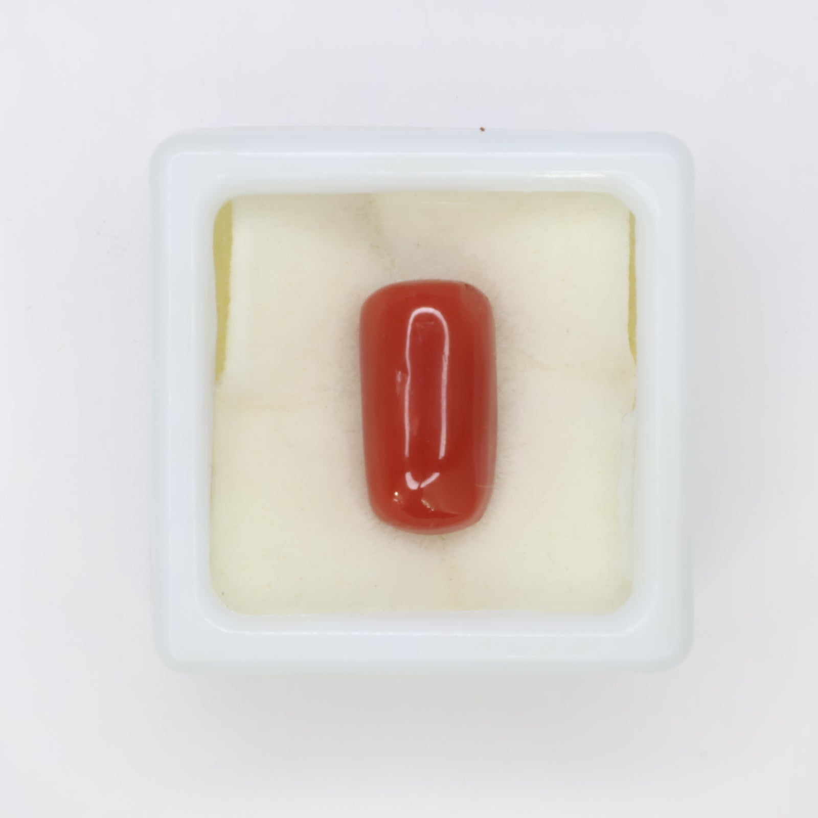 Natural Red Coral (Munga) 7.00ct