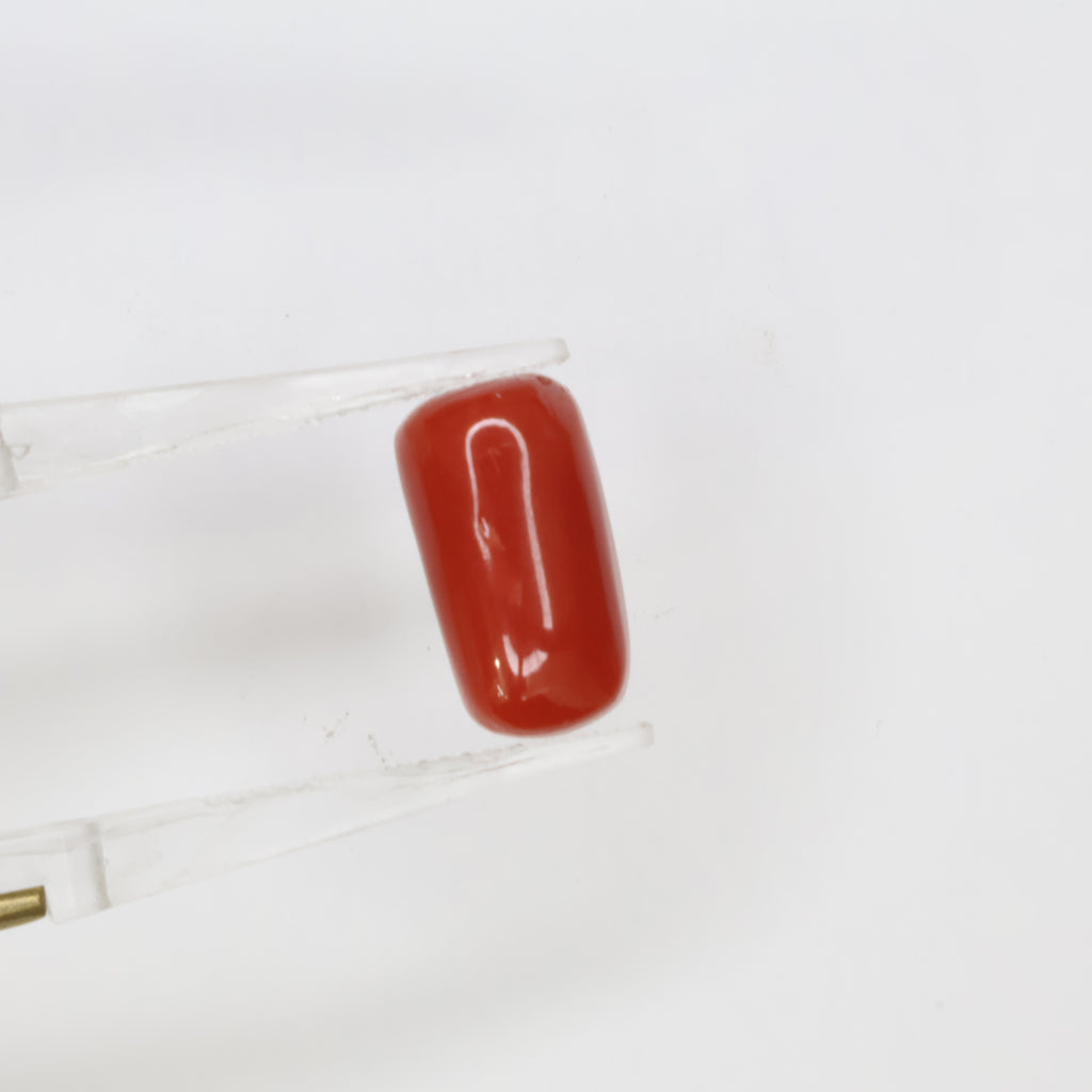 Natural Red Coral (Munga) 7.00ct