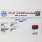 Natural Red Coral (Munga) 7.00ct