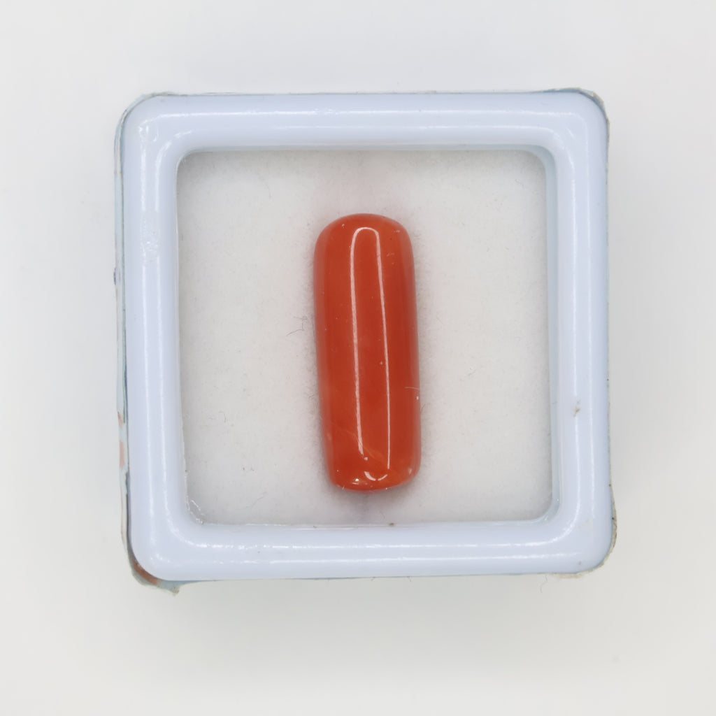 Natural Red Coral (Munga) 5.66ct
