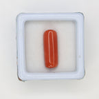 Natural Red Coral (Munga) 5.66ct