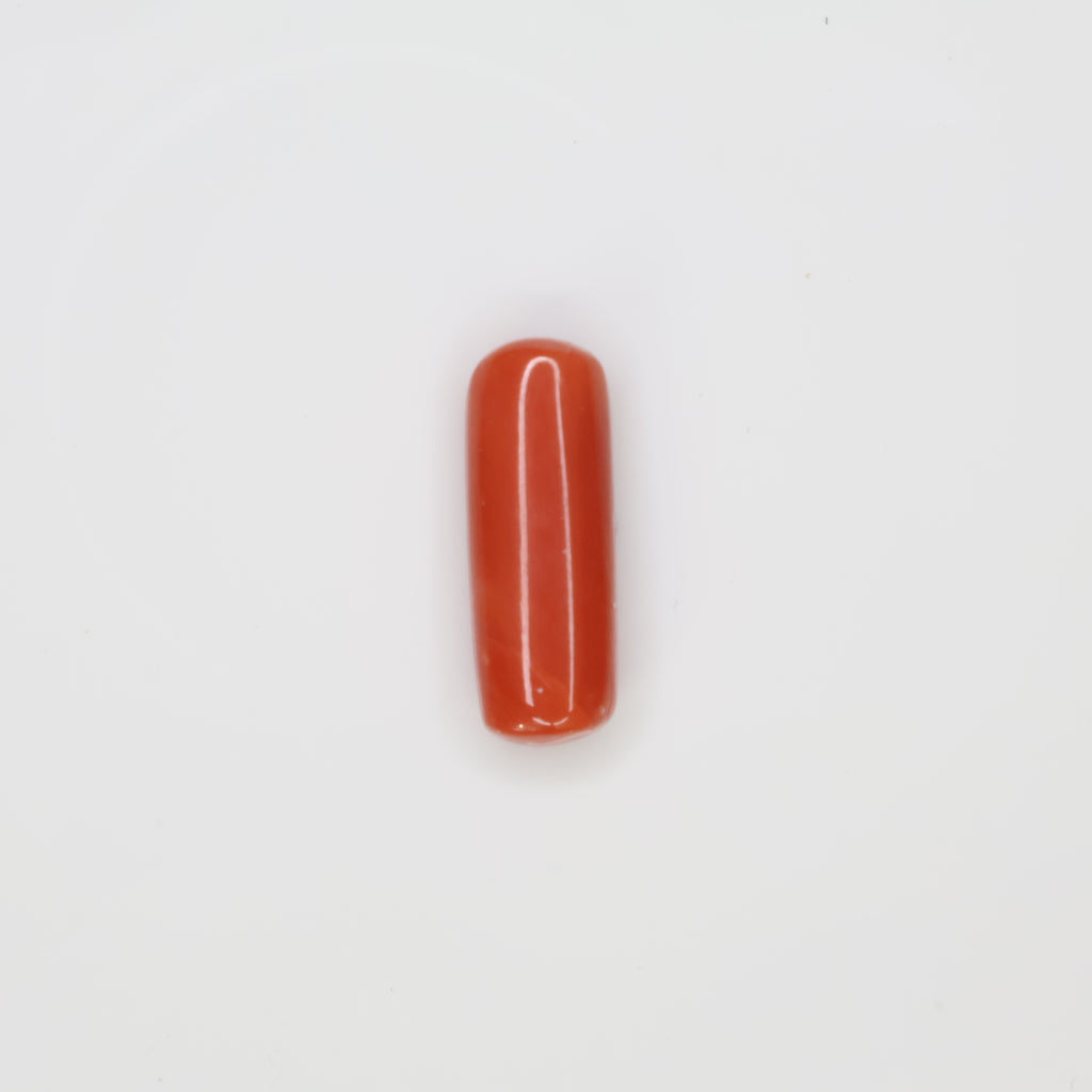 Natural Red Coral (Munga) 5.66ct