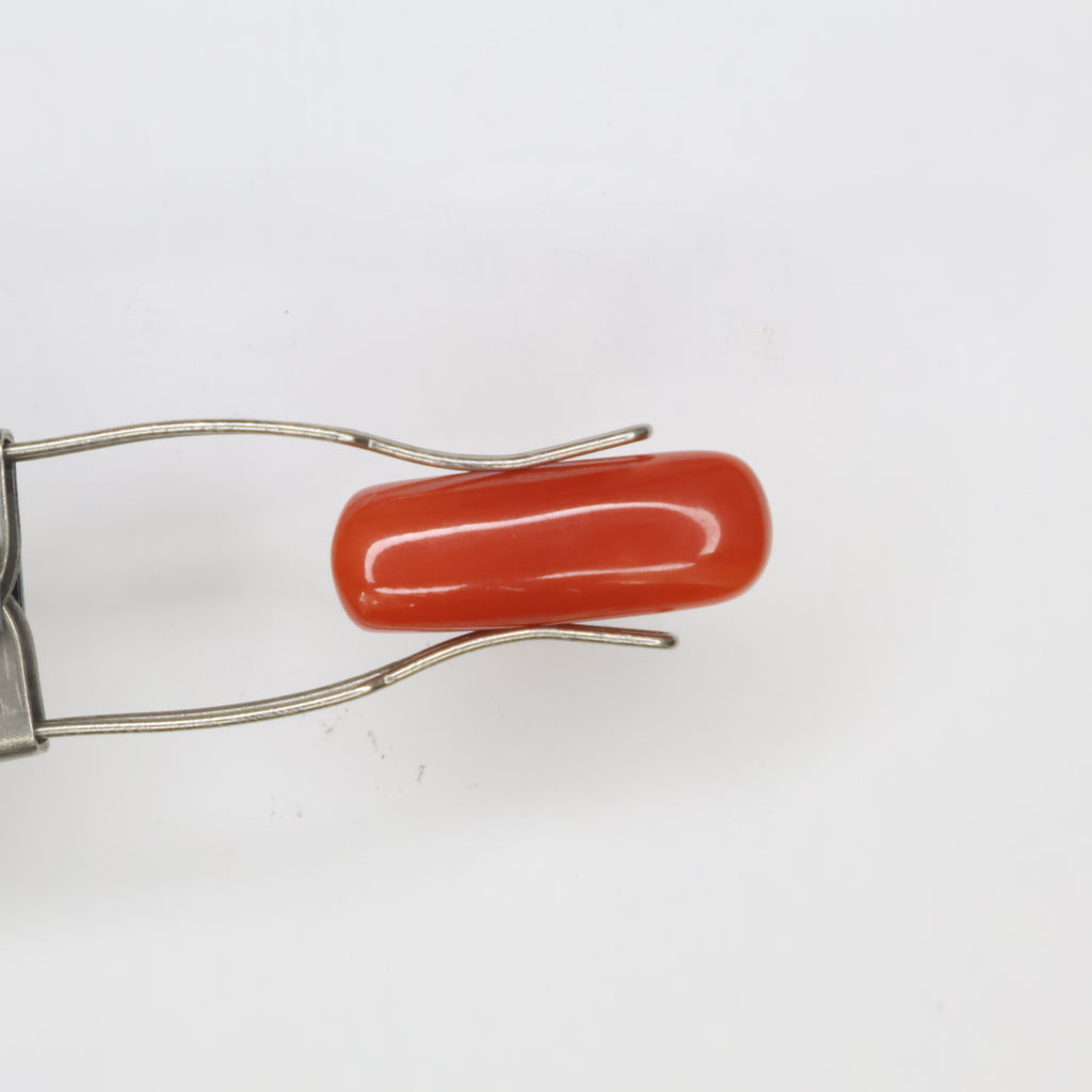 Natural Red Coral (Munga) 5.66ct