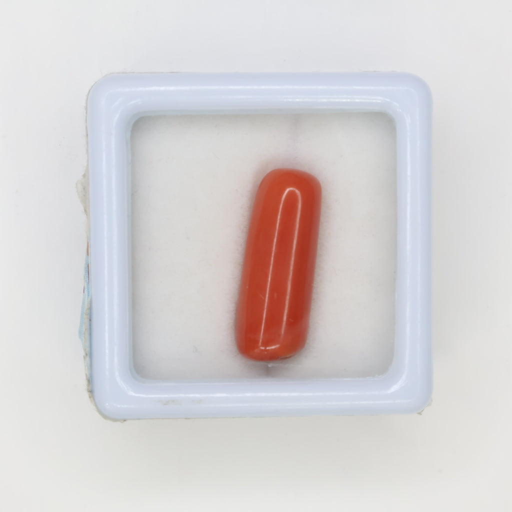 Natural Red Coral (Munga) 6.30ct