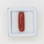 Natural Red Coral (Munga) 6.43ct