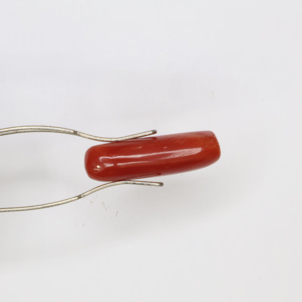 Natural Red Coral (Munga) 6.43ct