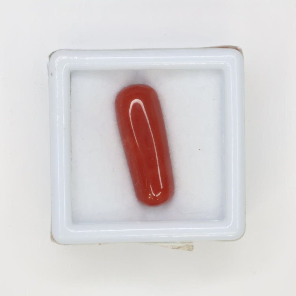 Natural Red Coral (Munga) 6.47ct