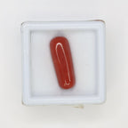 Natural Red Coral (Munga) 6.47ct