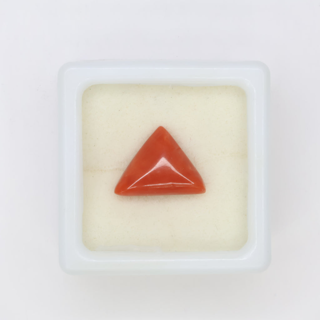 Natural Red Coral (Munga) 3.55ct