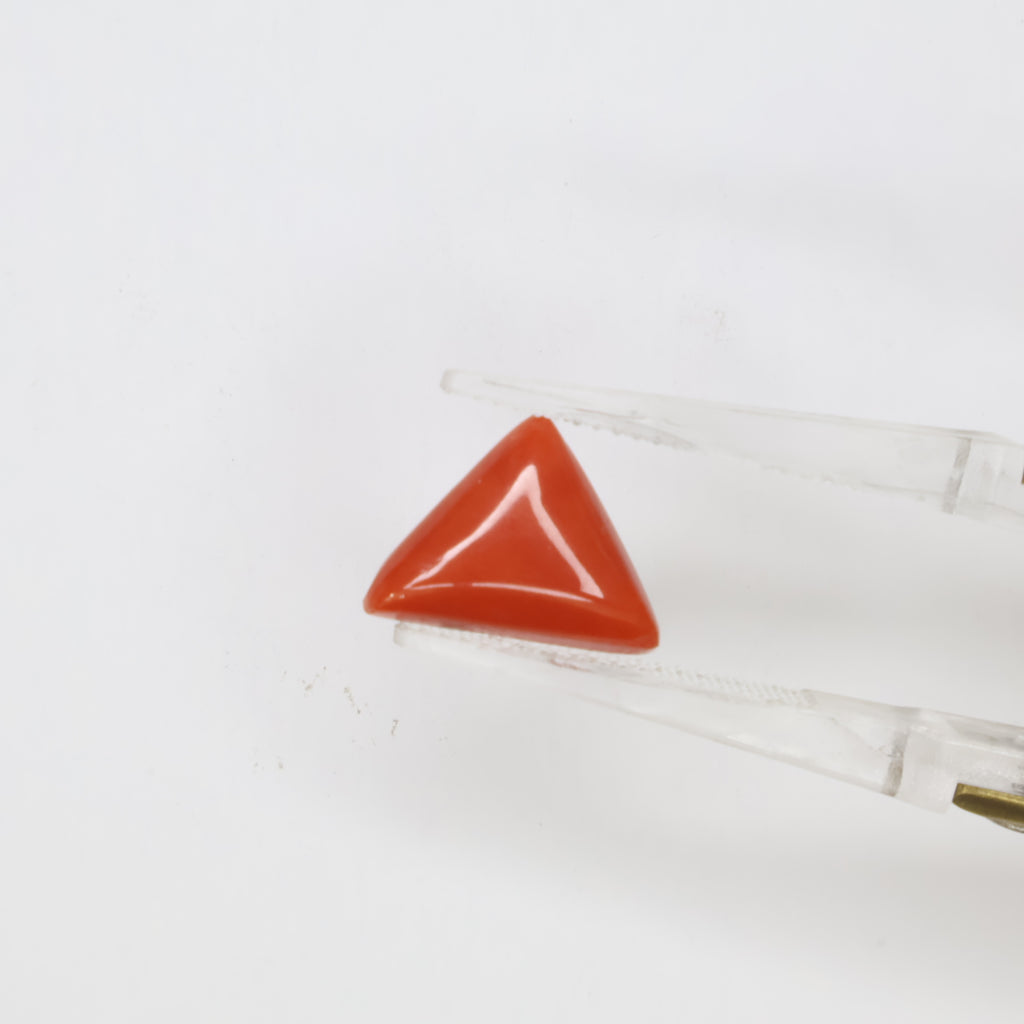 Natural Red Coral (Munga) 3.55ct